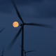 Illustration for article titled Companies Have Bought More Clean Energy Than Ever This Year, and Its Only Augustem/em